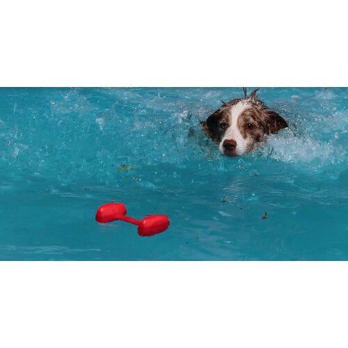 Mancuerna flotante para entrenamiento para perros, , large Imagen numero 4