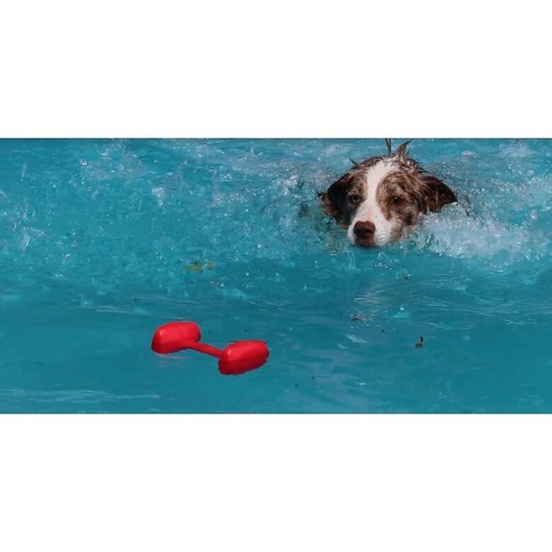 Mancuerna flotante para entrenamiento para perros, , large image number null