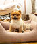 Pet and Co Cama Kingston Básica Terracota - Perros, , large indicador imagen numero 4