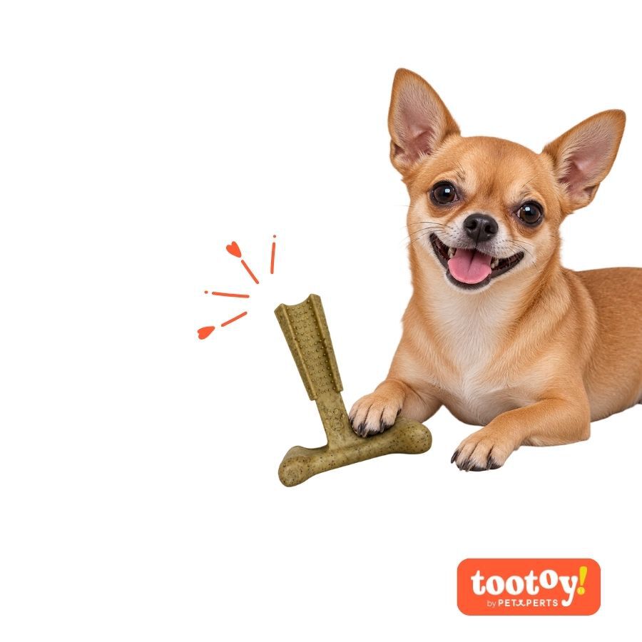 Tootoy! Chew Hueso Martillo Pollo Juguete para perros, , large Imagen numero 7