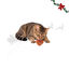 1 bolsita Wonder Christmas Corazones Pollo Snacks para gatos, , large indicador imagen numero 1