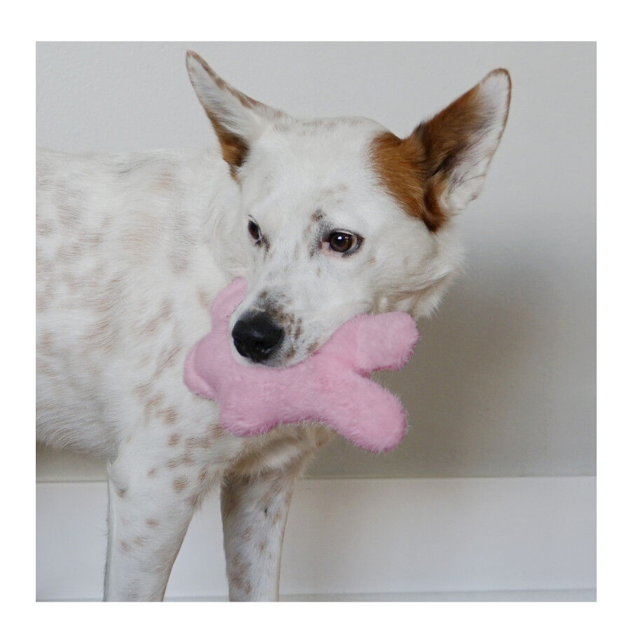 Kong Snuzzles Kiddos Conejo de peluche para cachorros, , large Imagen numero 2