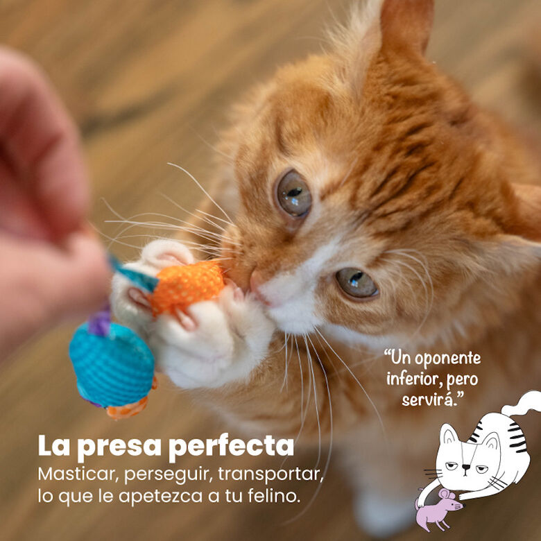 Catstages Chew Ratón con Catnip para gatos thumbnail