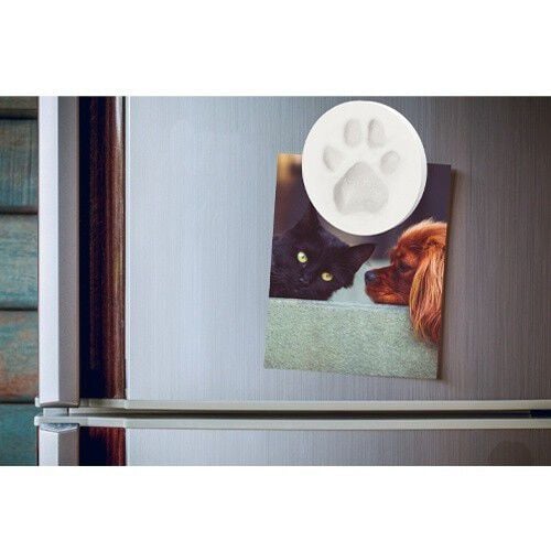 Huella animal para perros Anima pack Icnita thumbnail