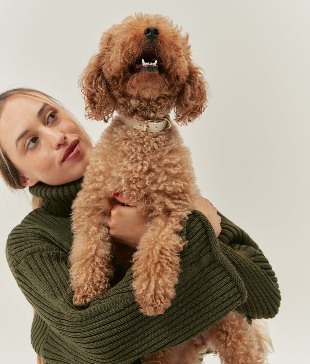 CAFIDE Collar Cuero Vegano Jala Beige, , large Imagen numero 2