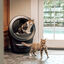 Litter-Robot Arenero Autolimpiable Negro para gatos, , large indicador imagen numero 5