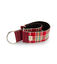 Collar Pamppy Galgo Speedy Tartán Rojo para perros, , large indicador imagen numero 1