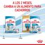 8 kg Royal Canin Starter MotheryBaby Mini pienso para perros, , large indicador imagen numero 11