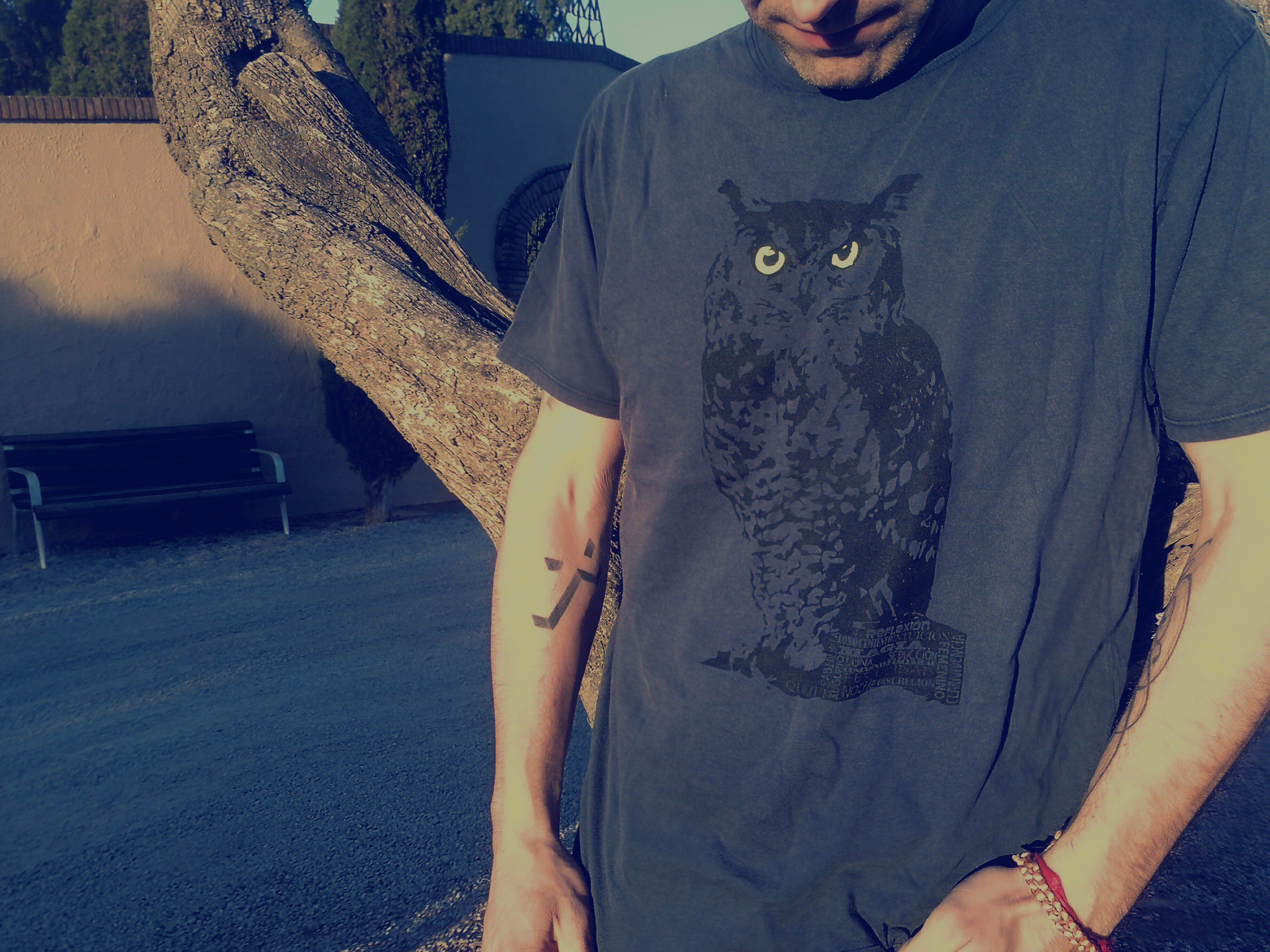 Camiseta para hombre Animal Totem búho color azul thumbnail