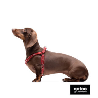 Gotoo Arnés estampado cachemira rojo para perros