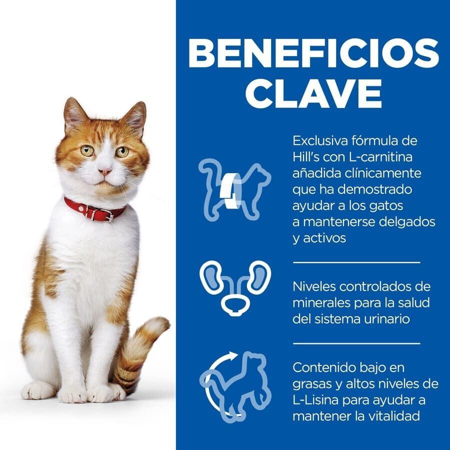 Hill&#039;s Science Plan Sterilized Young Adult Salmón sobre para gatos thumbnail