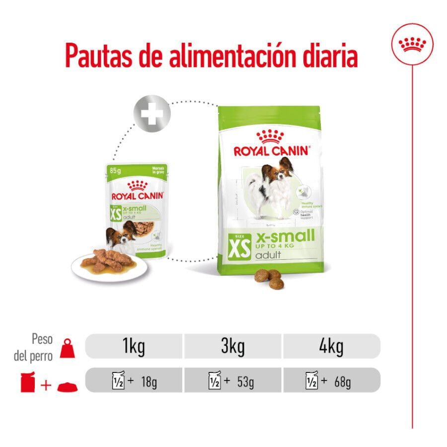 85 g Royal Canin X-Small Adult sobres en salsa para perros, , large Imagen numero 2