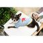 Camiseta para perros Nun Star Espiga color azul claro, , large indicador imagen numero 2