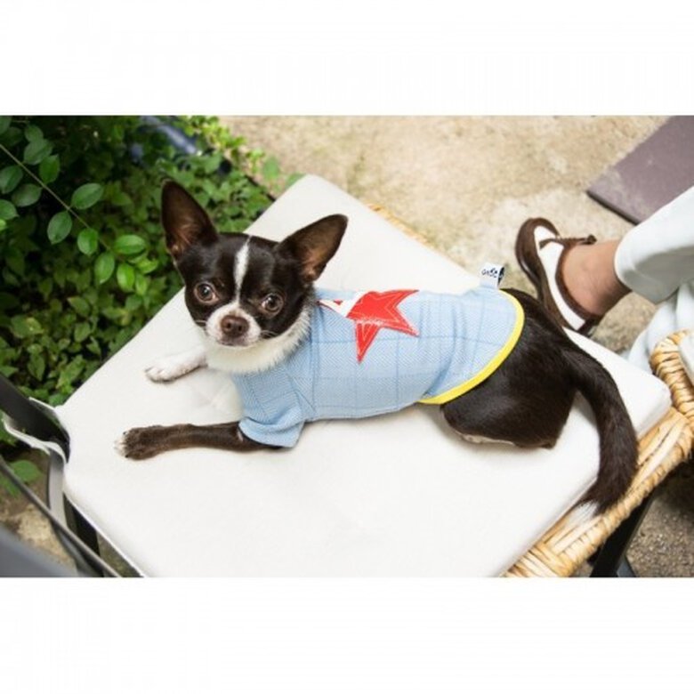 Camiseta para perros Nun Star Espiga color azul claro, , large image number null