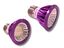 Bombilla de Luz Nocturna LED, , large indicador imagen numero 2