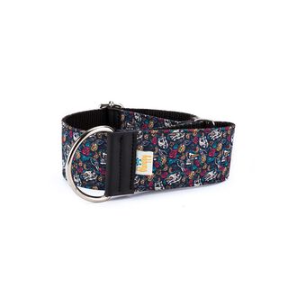 Pamppy galgo speedy collar regulable evan skulls para perros