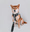 Correa CountryFox Pro Negro, , large indicador imagen numero 3
