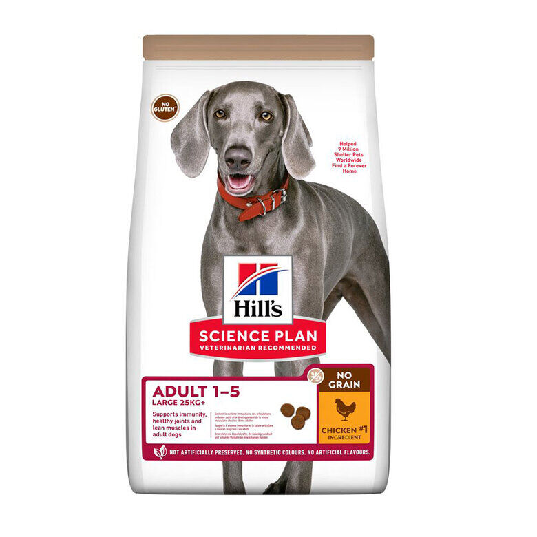 14 kg Hill's Science Plan Adult Large Pollo pienso para perros, , large Imagen numero 2