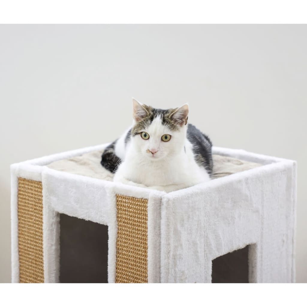 Rascador Para Gatos En Forma De Cubo, , large Imagen numero 4
