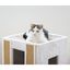 Rascador Para Gatos En Forma De Cubo, , large indicador imagen numero 4