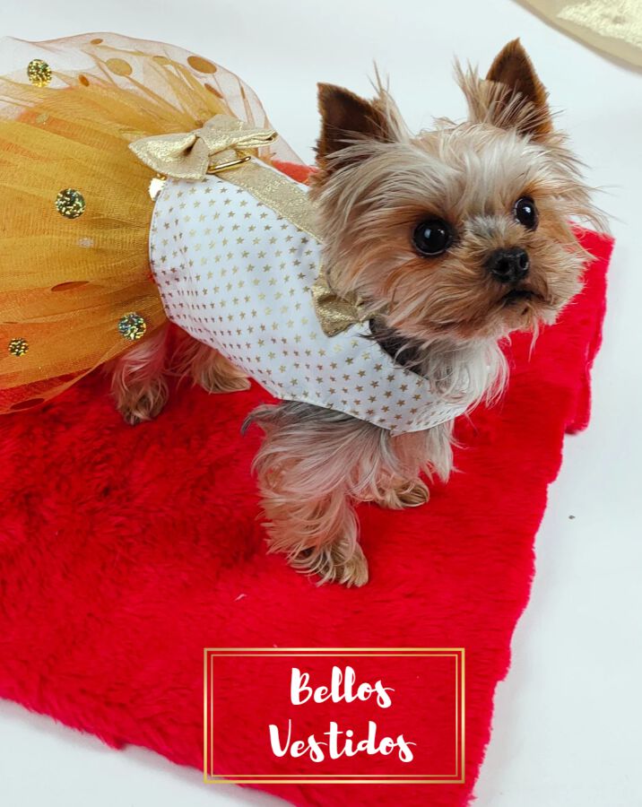 Ideal Pets, Vestido para perros, Fiestas, , large Imagen numero 2