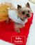 Ideal Pets, Vestido para perros, Fiestas, , large indicador imagen numero 2