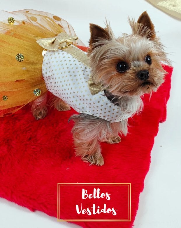 Ideal Pets, Vestido para perros, Fiestas