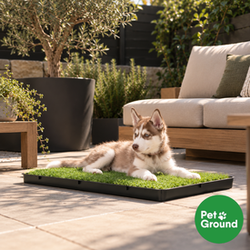 Petground Empapador para perros