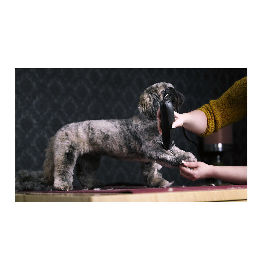 Maquina Cortapelo para perro Moser Max 45 Tiendanimal