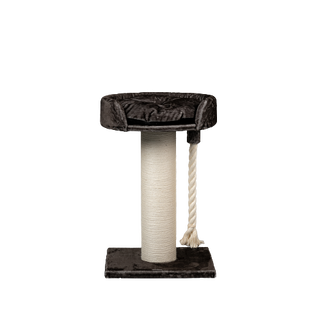 Rascador para gato Chartreux color Taupe
