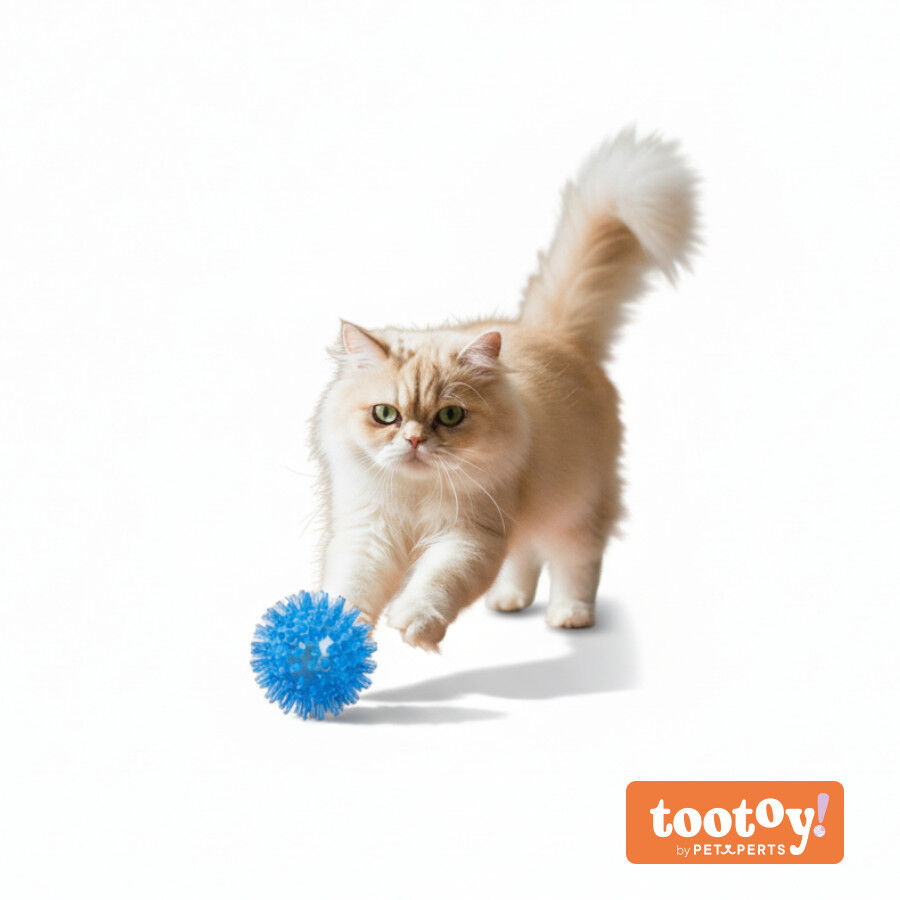 Tootoy! Pelota de Goma Luminosa Azul para gatos, , large Imagen numero 9