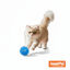 Tootoy! Pelota de Goma Luminosa Azul para gatos, , large indicador imagen numero 9