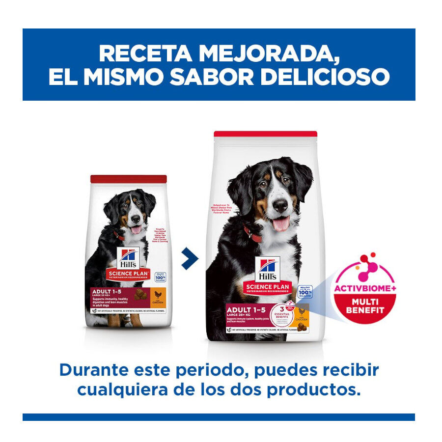 18 kg Hill's Science Plan Adult Large Pollo pienso para perros, , large Imagen numero 3