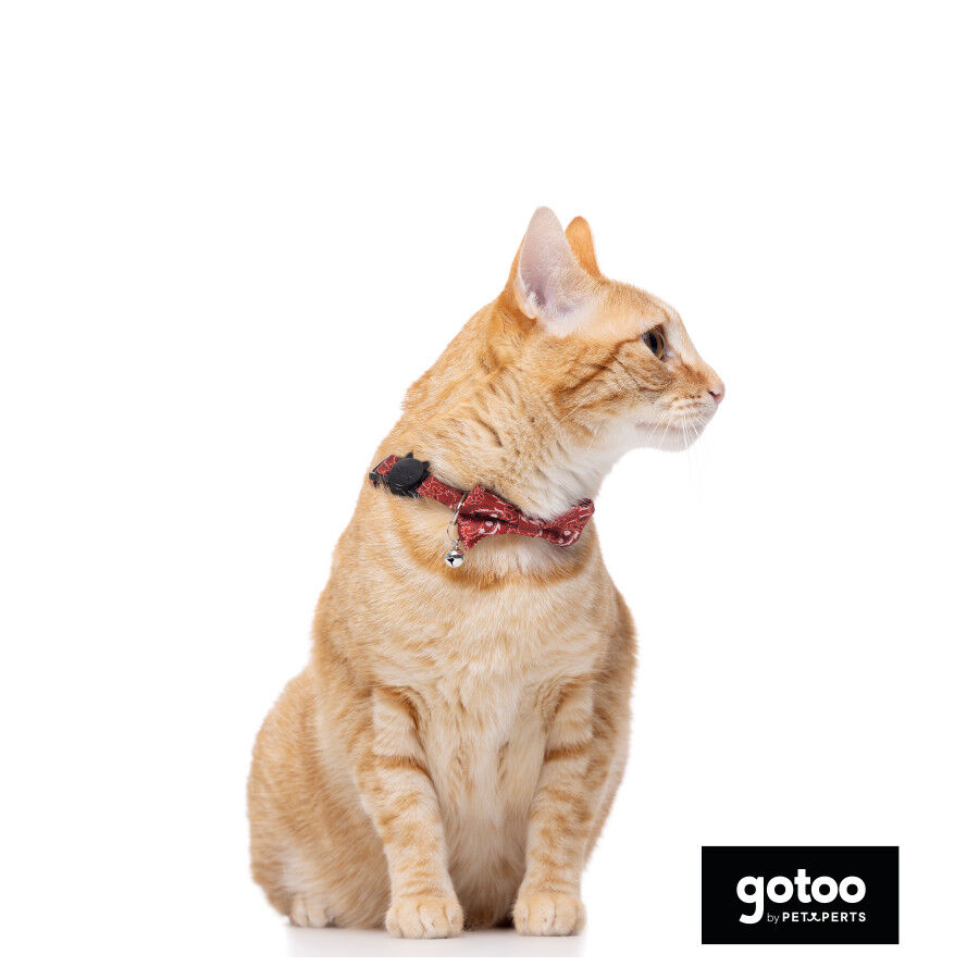 Gotoo Collar rojo con cascabel extraíble para gatos thumbnail