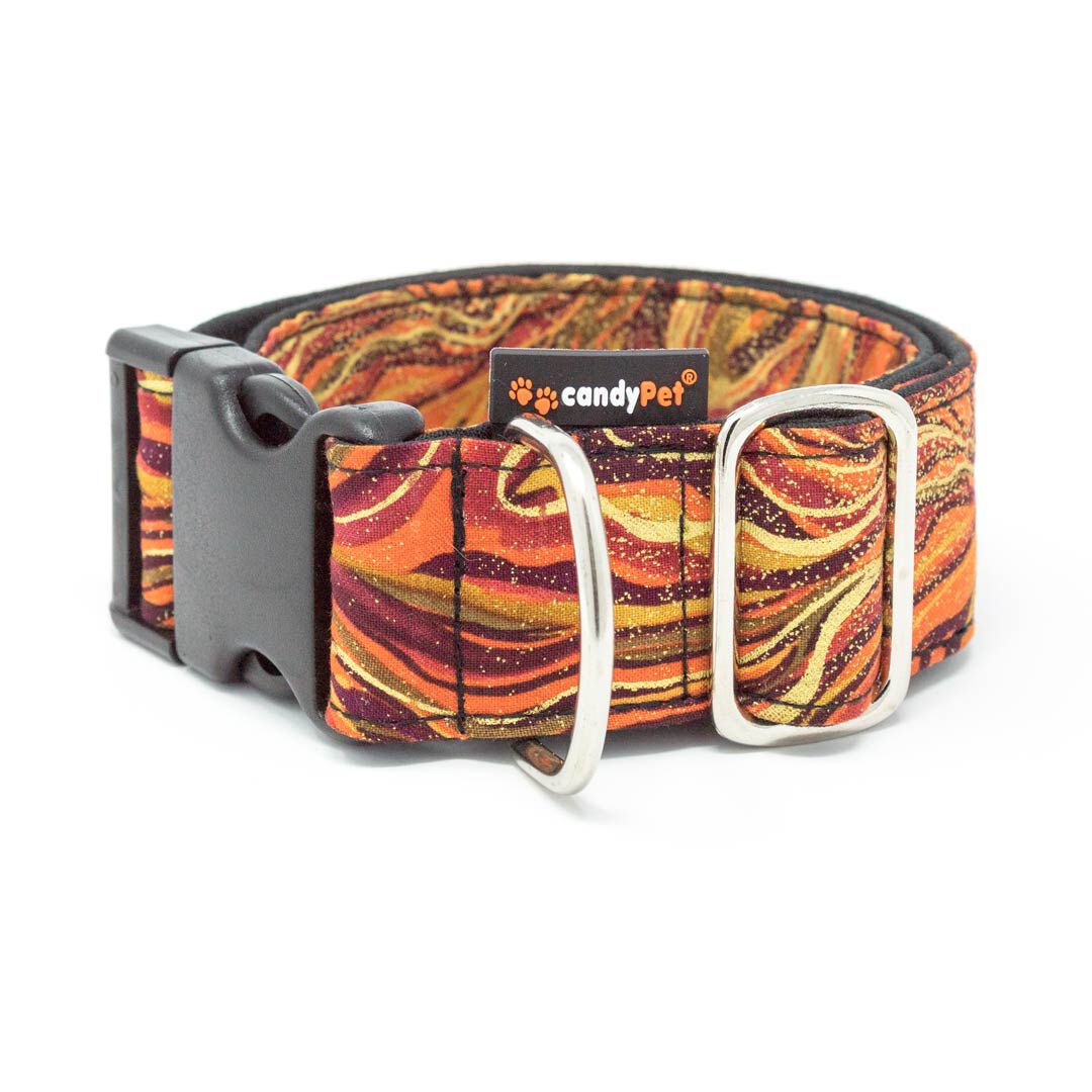 candyPet&reg; Collar Click para Perros - Modelo New waves, , large Imagen numero 1
