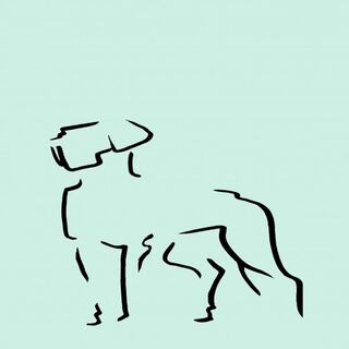 Ilustración Dogo sin marco color Mint