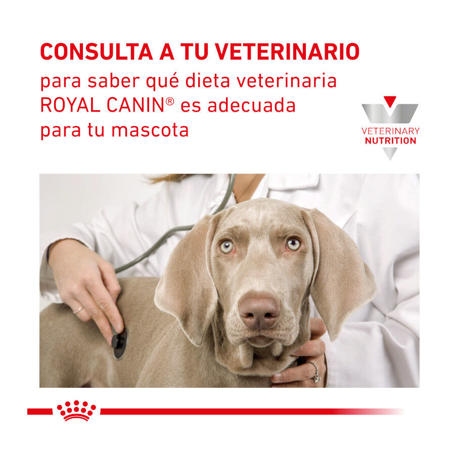 Royal Canin Veterinary Recovery lata para perros y gatos thumbnail