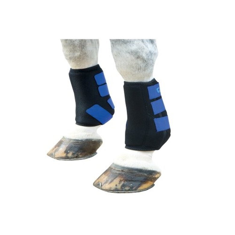 ARMA botas deportivas de neopreno azul real para caballos, , large image number null