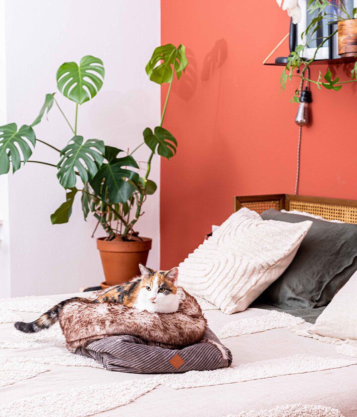 Pet and Co Bolsa De Cama De Cord&oacute;n (Piel Sint&eacute;tica) Arena Snuggle - Perros, , large Imagen numero 5