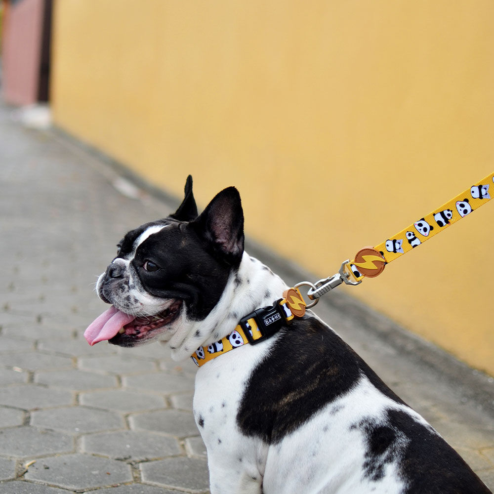 Correa de poli&eacute;ster Snooze para perros color Varios, , large Imagen numero 2