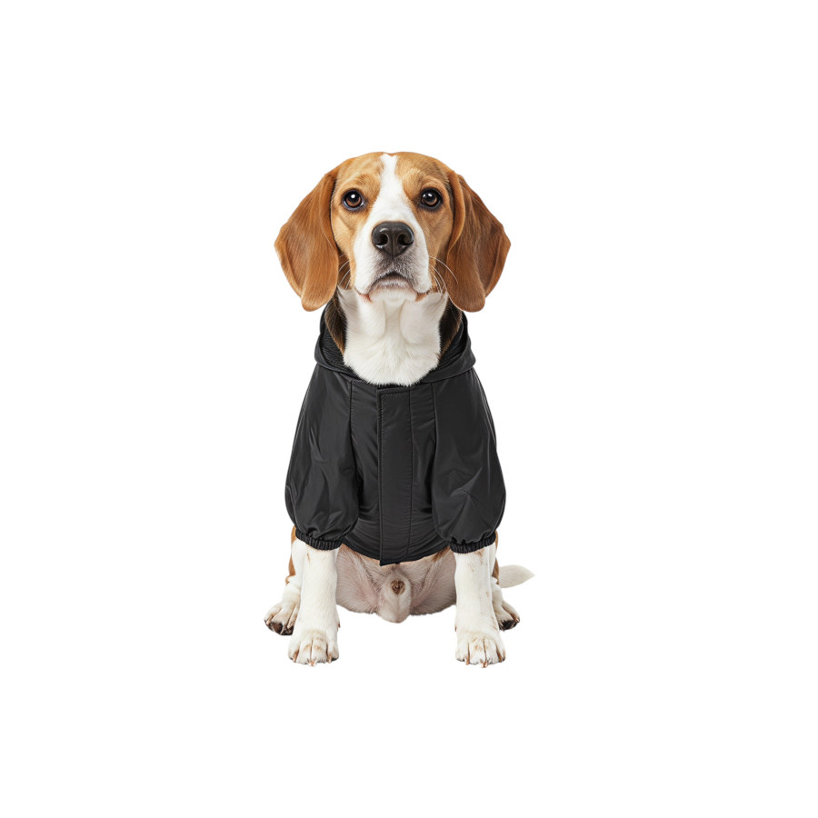 Gotoo Abrigo Impermeable Reflectante Negro para perros, , large Imagen numero 7