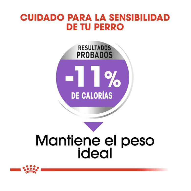 Royal Canin X-Small Sterilised pienso para perros thumbnail