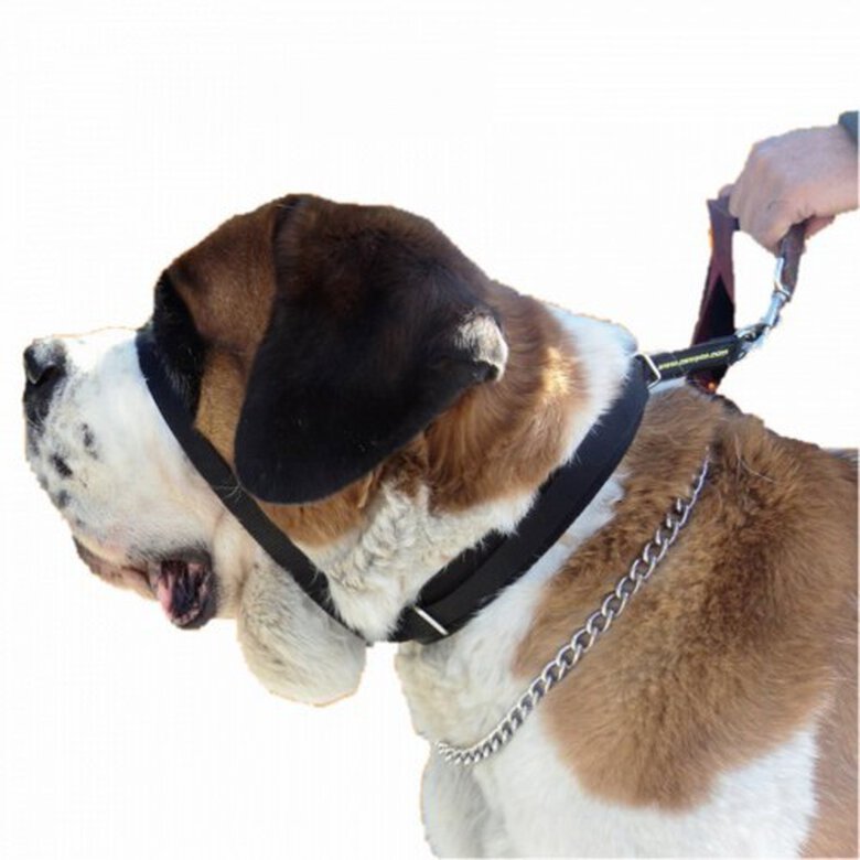 Collar antitirones Colossus para perros de raza grande color Negro, , large image number null