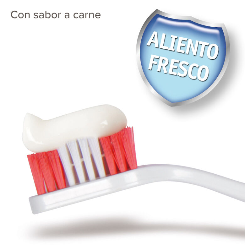 Beaphar Kit de Limpieza Dental para cachorros thumbnail