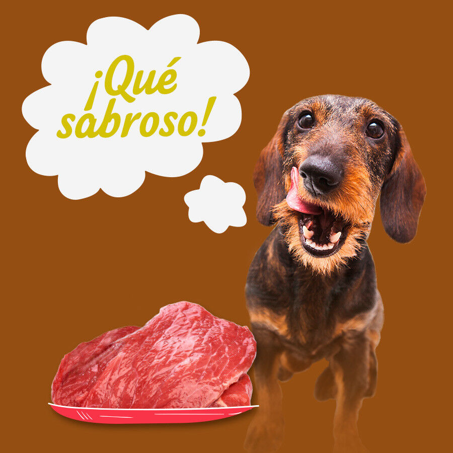 12 latas x 400 g Start! Adult Pollo, Ternera y Cordero en Salsa lata para perros &iexcl;Pack ahorro!, , large Imagen numero 4