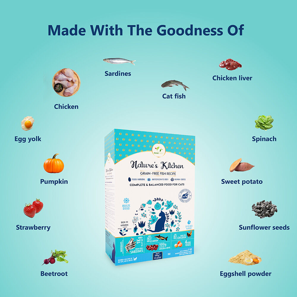 Alimento completo y equilibrado sin cereales para gatos: receta de pescado (500 g/17,64 oz), , large Imagen numero 3