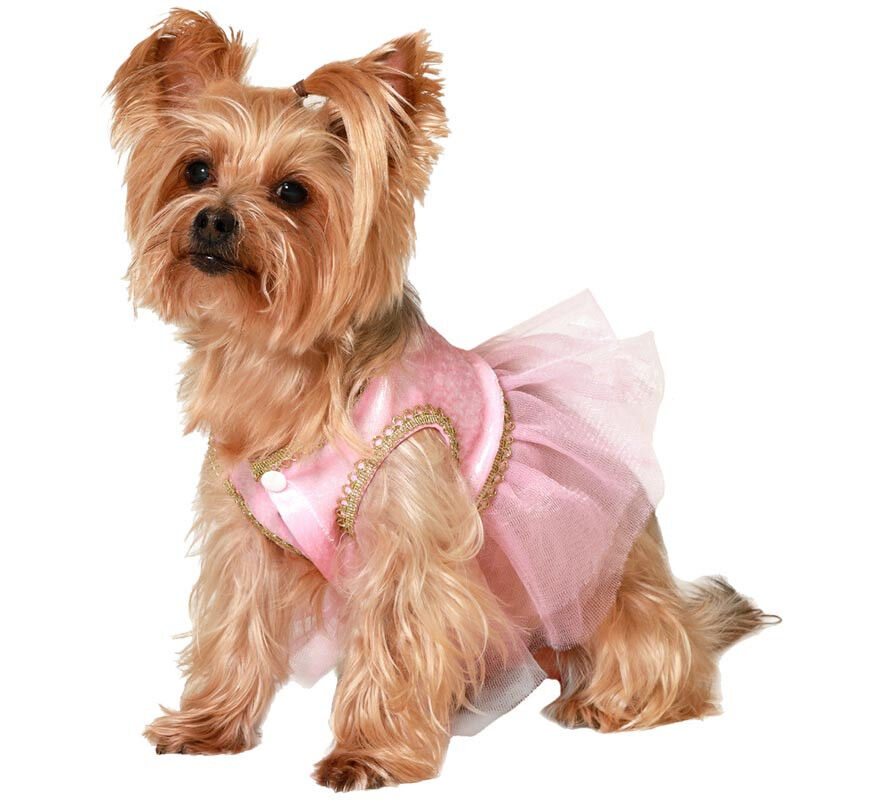 Disfraz de Bailarina de Ballet para perro, , large Imagen numero 1