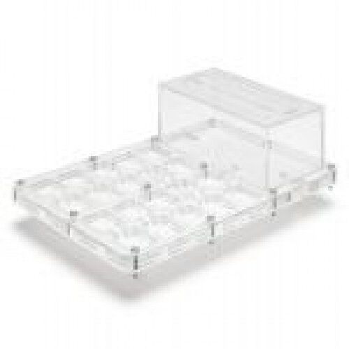 Hormiguero Anthouse Hori-Acri seta con zona de forrajeo thumbnail