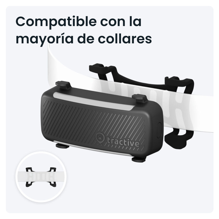 Tractive GPS Dog 6 Negro Rastreador para perros thumbnail