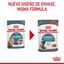 85 g Royal Canin Hairball sobre en salsa para gatos, , large indicador imagen numero 10